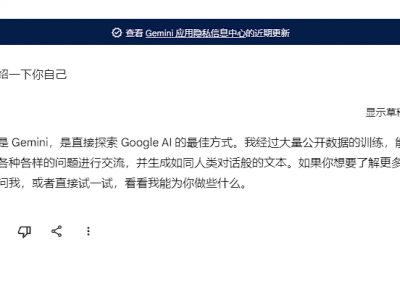 Google推出的AI，Google Bard，现在已正式升级为Gemini，支持中文对话，测试下功能不错！